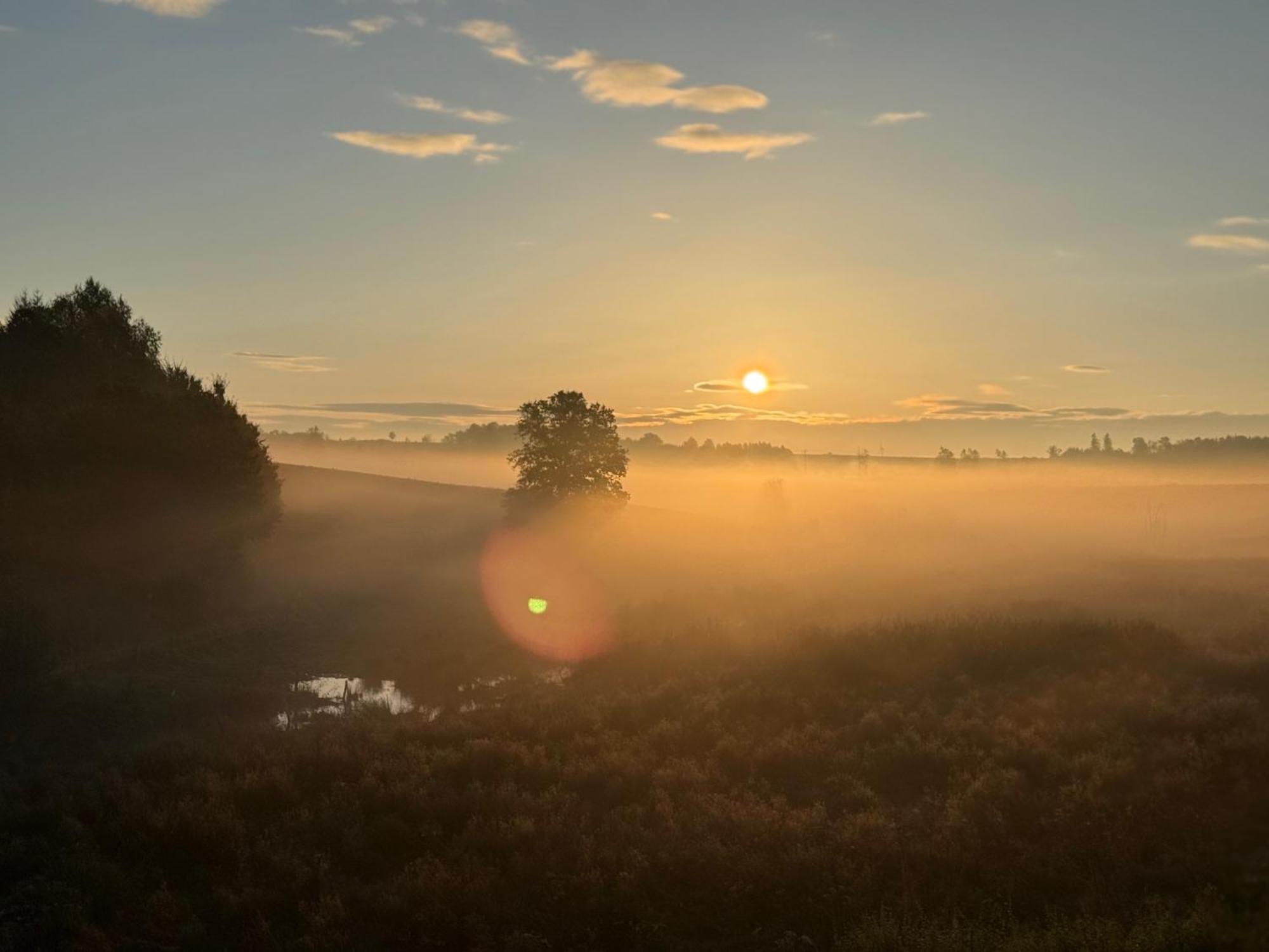 Coeur De Boeur Villa Houffalize Buitenkant foto
